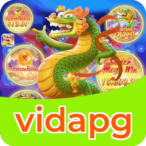 Resumo do fluxo de instalação do app vidapg — ilustração editorial